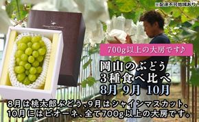 【2026年度発送】岡山のぶどう 3種 食べ比べ 3回 お届け 定期便 （8月・9月・10月） ブドウ 葡萄 大房 岡山県産 国産 フルーツ 果物 贈り物 ギフト