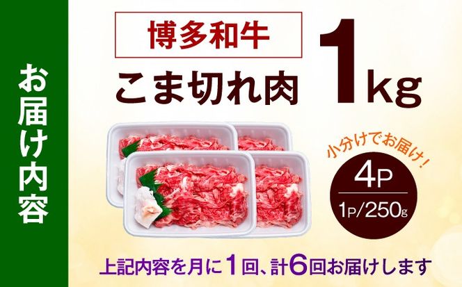 【全6回定期便】博多和牛 こま切れ 1kg （250g×4）《築上町》【肉のくまもと屋】 小分け 小間切れ[ABEZ003]