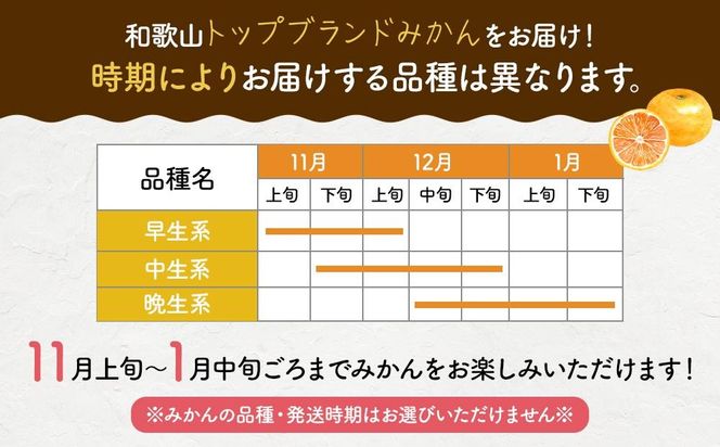 農家直送！濃厚有田みかん10kg(サイズ混合) AO011