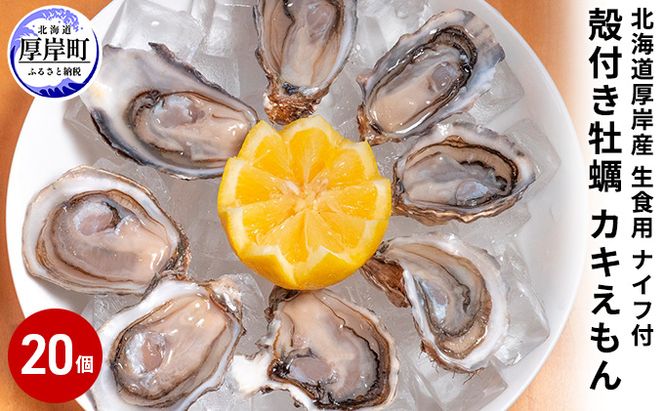 厚岸産 殻付き牡蠣（カキえもん）20個 生食用 ナイフ付（1個40～59g） 魚貝類 生牡蠣 かき 簡易ナイフ付 