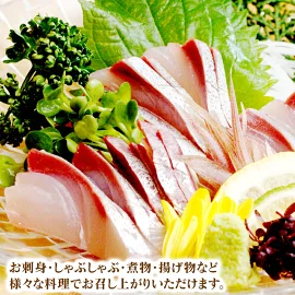 【大和ブリ】半身（フィレ）約1.0kg×1枚　スキンレスロイン仕様　N072-YB327_1