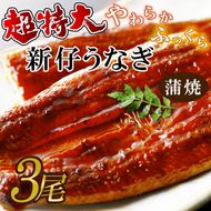 超特大！やわらか国内産うなぎ蒲焼220～250g 3尾　計660g以上|うなぎ 鰻 蒲焼 特大 茨城県 行方市(AD-94-1)
