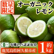 数量限定！有機JAS オーガニックレモン(約1kg) 国産 レモン 檸檬 果実 果物 フルーツ 柑橘 デザート 期間限定 有機栽培 健康志向 【中村農場】akn084-11