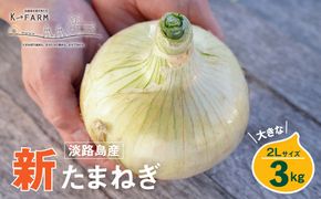【新玉ねぎ】淡路島たまねぎ 大きな2Lサイズ 3kg【発送時期：2026年3月下旬～5月頃】　玉ねぎ 産地直送