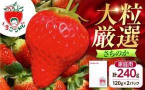 いちご さちのか 120g×2パック / 苺 果物 フルーツ 甘い 産地直送 冷蔵 人気 おすすめ 高知 土佐市 家庭用【松本いちごらんど】[BQDQ002] [BQDQ002]