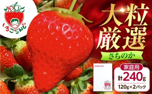 いちご さちのか 120g×2パック / 苺 果物 フルーツ 甘い 産地直送 冷蔵 人気 おすすめ 高知 土佐市 家庭用【松本いちごらんど】[BQDQ002] [BQDQ002]