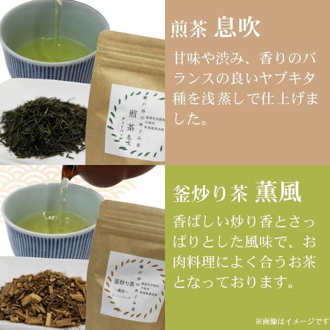 春夏秋冬 5種セット ティーバッグ 茶葉 煎茶 釜炒り茶 春 夏 秋 冬 息吹 薫風 和紅茶 ほうじ茶 薪火三年番茶 浅蒸し茶 静岡県産 静岡茶 飲料 おちゃ 静岡県 藤枝市