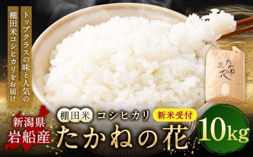【新米受付・令和8年産米】新潟県村上市岩船産　棚田米コシヒカリ「たかねの花」10kg　1104002N