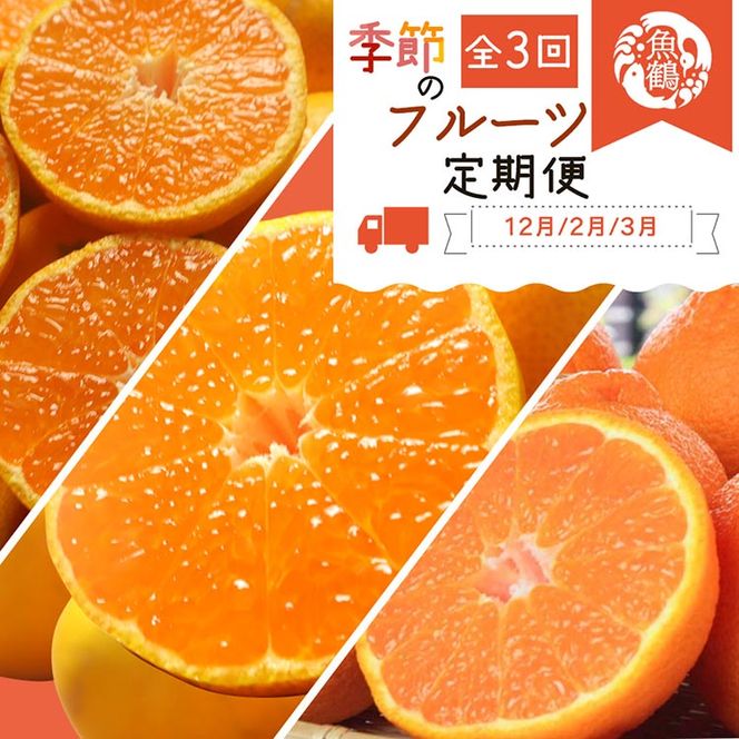 〈定期便〉【12・2・3月 全3回】紀州和歌山産旬の柑橘セット（田村みかん・はるみ・不知火） ※離島への配送不可
