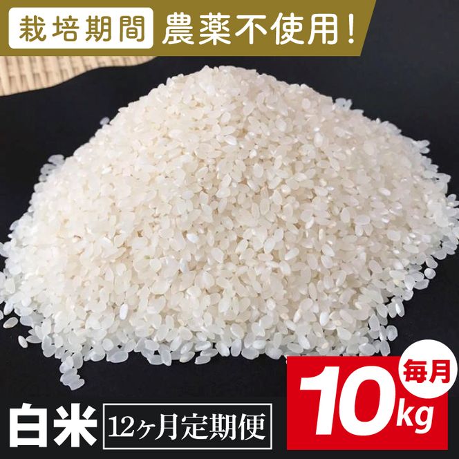 【2026年9月中旬発送開始】【12ヶ月定期便】★栽培期間農薬不使用★茨城県産 R８年産 こしひかり白米 10kg｜茨城県 行方市 ふるさと納税 お米 米 定期便 こしひかり 白米 無農薬（BI-105）