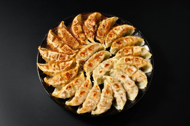 冷凍 生餃子 肉屋の餃子（45個入り） 1パック