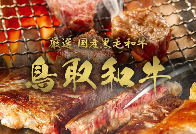 991.【和牛セレブ（鳥取和牛定期便：6回）】ゴールドクラス《検索用ワード:牛肉 すき焼き ステーキ しゃぶしゃぶ 焼き肉 焼肉》 313726_BM022