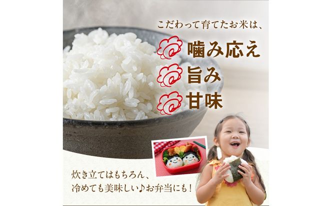京丹後米～水と文化が育んだ～夢ごこち 5kg　FP00013