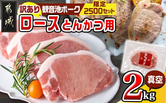 【訳あり】＜限定2500セット＞観音池ポークロースとんかつ用(真空)2kg_15-031 