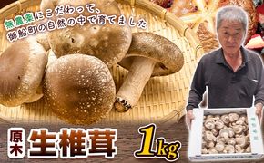 【先行予約】しいたけ 椎茸 生椎茸 1kg 荒木農産《11月上旬-3月中旬頃出荷》熊本 御船 原木椎茸 送料無料---mifune_arn_2_1kg---