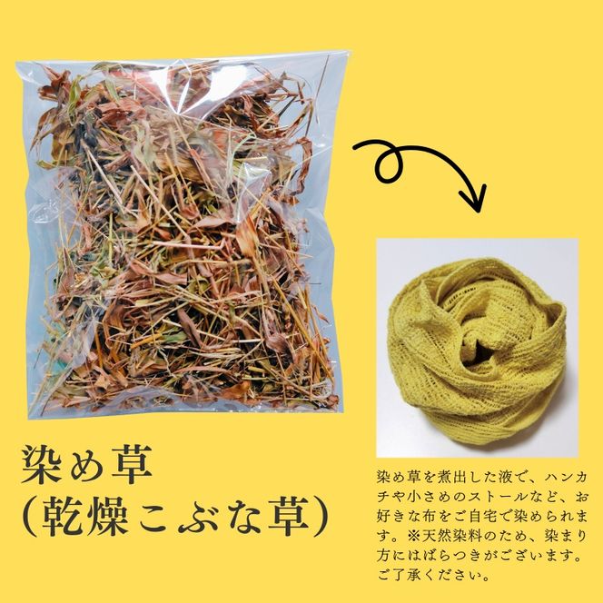 こぶな草3点セット うさぎ巾着ブローチ・ポストカード・染め草 ／ 紀美野町 【sik929-set-kbn】