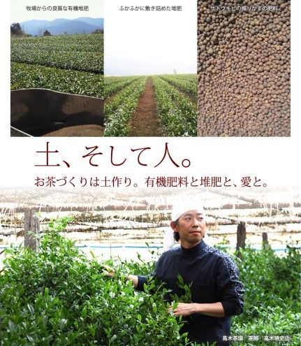 お茶 煎茶 八女茶 100g×1袋 奥八女 星野村 高級 深蒸し 茶 星野茶 緑茶 