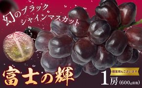 ぶどう 富士の輝 1房 贈答用もあり 茨城県 結城市 《8月下旬-9月下旬頃出荷予定》 會澤ぶどう・キウイフルーツ園 葡萄 ブドウ 大粒 種なし ブラック シャインマスカット 果物 フルーツ ギフト 国産 季節限定 【配送不可地域あり】(離島)---yuki_aizw_15_1p---