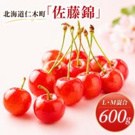 2027年発送 北海道 仁木町産 さくらんぼ 佐藤錦 600g (300g×2パック) L・M混合  旬 桜桃 産地直送 サクランボ チェリー フルーツ 果物 果物類 仁木町 仁木 [松山商店]