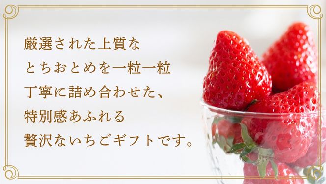【桐箱入り】とちおとめ 9～15粒 【2027年1月から発送開始】（茨城県共通返礼品 [いちご]：城里町産） いちご イチゴ 苺 とちおとめ 甘い 国産 人気 桐箱入り 贈答 贈り物 ギフト ふるさと納税