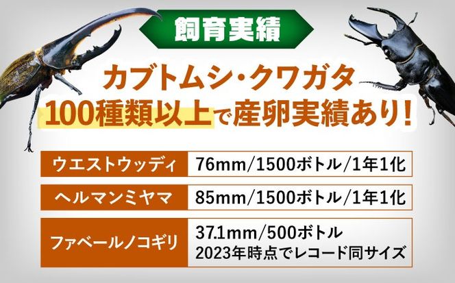 カブトムシ クワガタ 幼虫飼育産卵マット 愛西市 / 艶麗[AEDD005]