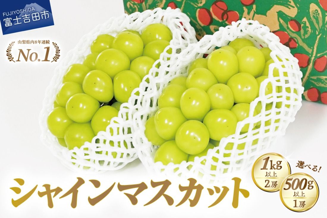 [2025年発送]ジューシーで甘さ抜群 厳選シャインマスカット[選べる容量 500g/1kg以上] シャインマスカット ぶどう シャイン フルーツ 果物 山梨 富士吉田
