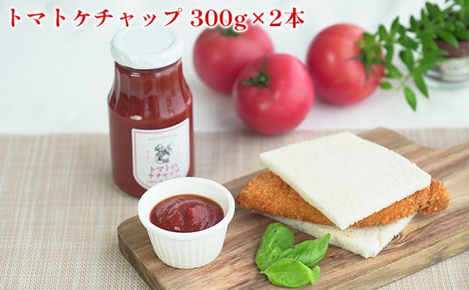 トマト専門農家のトマトソースセット 自然豊か こだわり 特製 濃い 甘み おいしい 贅沢 安全 安心 子供 レシピ 化粧箱 