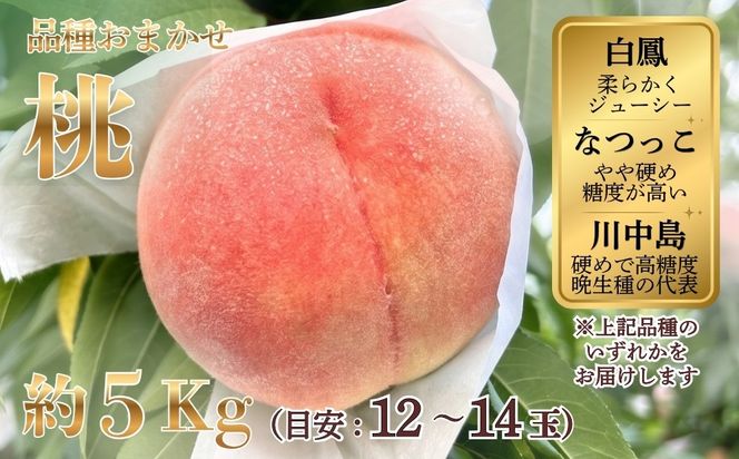桃（品種おまかせ：白鳳、なつっこ、川中島　のいずれか）約5kg（目安：12～14玉） ※2026年7月～発送