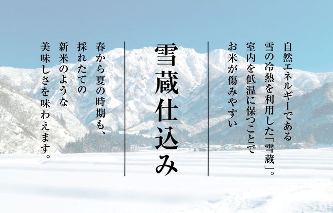T-10【令和7年産 頒布会】無洗米 魚沼産コシヒカリ 2kg×全12 米 コメ こしひかり 精米 ブランド米 お取り寄せ 十日町市