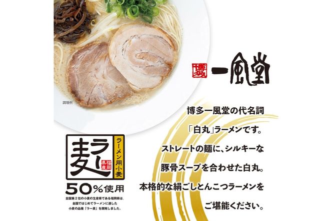 ラーメン 一風堂 白丸 ラー麦麺 セット 4食 [地域商社ふるさぽ 福岡県 宇美町 um40bfw220017] 豚骨 とんこつ らーめん 拉麺 豚骨ラーメン とんこつラーメン 博多ラーメン まとめ買い