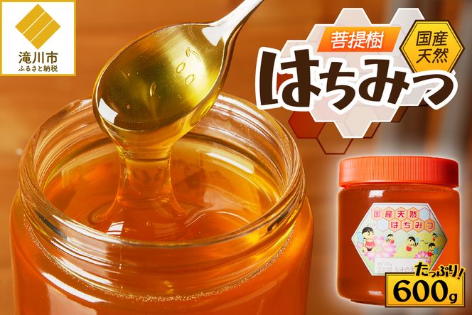 【北海道滝川産】高見養蜂場の純粋はちみつ(菩提樹、シナの木600g×1本)｜国産 日本製 天然 無添加 純粋 非加熱 生はちみつ ミツバチ ハニー 栄養 健康 美容 ビタミン ミネラル 抗生物質 プロポリス アミノ酸 濃厚 ギフト 贈答