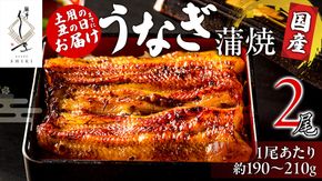 【 麻布しき 】 国産 鰻 蒲焼 × 2尾 【 数量限定 寄附額 38000円 → 30000円 】うなぎ ウナギ 冷凍 おいしい 蒲焼き かばやき たれ焼き 土用 丑の日 無頭 タレ 山椒 付 縁起 敬老の日 名店 老舗 土用の丑の日 鰻祭り[DJ007us]