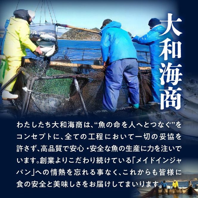 【12ヶ月定期便】大和海商　大和の高級お刺身　6人前　冷蔵　N072-YG0183_1