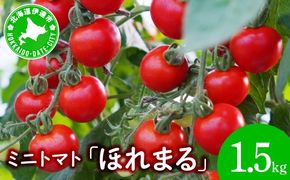 ＜先行予約＞ミニトマト ほれまる 1.5kg【ffk-001】北海道 伊達市 野菜 新鮮 ふるさと納税 送料無料