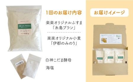 【 全6回 定期便 】自宅でかんたん♪ 本格 ブラン ピザ キット 3袋 (3回分) 粉類の 計量不要 ！《糸島》【天然パン工房楽楽】【いとしまごころ】[AVC036] ピザ ブラン 小麦粉 パン ぱん 手作り 体験 キット