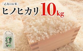 令和6年産「乙女のお米」ヒノヒカリ 10kg