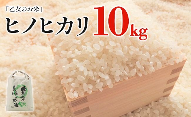 令和6年産「乙女のお米」ヒノヒカリ 10kg