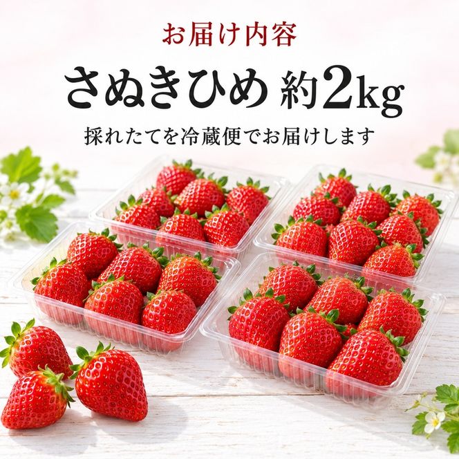 いちご さぬきひめ 香川県オリジナル品種 2kg 大粒 高糖度 贈答用 ギフト プレゼント 手土産 お祝い デザート スイーツ 苺 さぬき姫 ストロベリー フルーツ 果物 くだもの 冷蔵 五色青果 香川県 東かがわ市 46312083