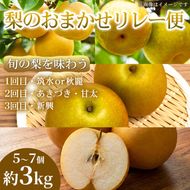 【旬の梨を味わう】熊本県産 おまかせリレー便(計5～7個)(約3kg)(1回目)筑水または秋麗(2回目)あきづき・甘太(3回目)新興 梨 フルーツ 詰め合わせ 食べ比べ 甘い 濃厚 農家直送 ギフト 贈答用 家庭用