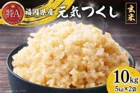 米 令和7年 玄米 元気つくし 5kg 2袋 計 10kg [ベネフィス 福岡県 宇美町 um40azp190012] 令和7年産 お米 ご飯 コメ ごはん