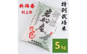 【令和7年産米】特別栽培米  新潟県村上市岩船産 コシヒカリ5kg 1013005　米 白米 精米 お米