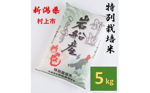 【令和6年産米】特別栽培米  岩船産 コシヒカリ5kg 1013005 米 白米 精米 お米