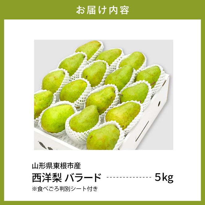 【令和6年産 先行予約】西洋梨バラード5kg　秀品　化粧箱入り 山形県 東根市 東根農産センター提供 hi027-137