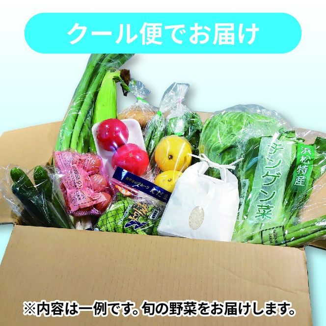 野菜 詰め合わせ 産地 直送 10~ 14種 減農薬 栽培 旬 採れたて やさい 家庭用 健康 食材 静岡県 藤枝市 