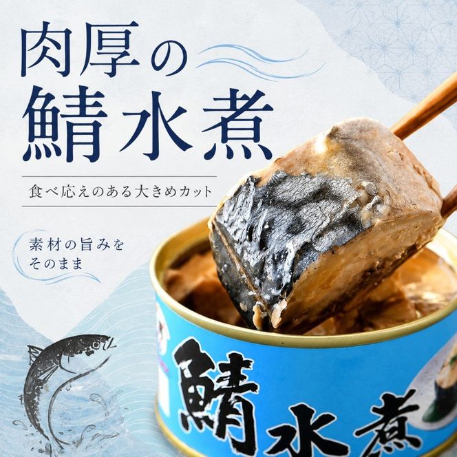 【ふるさと納税】サバ缶 水煮 12缶セット 若狭の鯖缶 さば缶 鯖缶 サバ 鯖 缶詰 水煮缶 常温保存 備蓄 まとめ買い おかず 惣菜 ごはんのお供 福井 福井県　若狭町