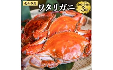 ＜数量限定＞魚太郎のボイルワタリガニ 3杯 1匹250g～300g 冷凍 カニ 蟹 国産 魚介 海鮮 味噌 ボイル済み 愛知県 南知多町