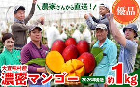 【2026年発送】濃密マンゴー《優品・約1kg》大宜味村農家さんから直送！ 優品 先行予約 沖縄 甘味 糖度 濃厚 おいしい お土産 まんごー アーウィン 果物 くだもの 果実 送料無料 ふるさと納税 １キロ トロピカル 化粧箱入り 食べ物 フルーツ