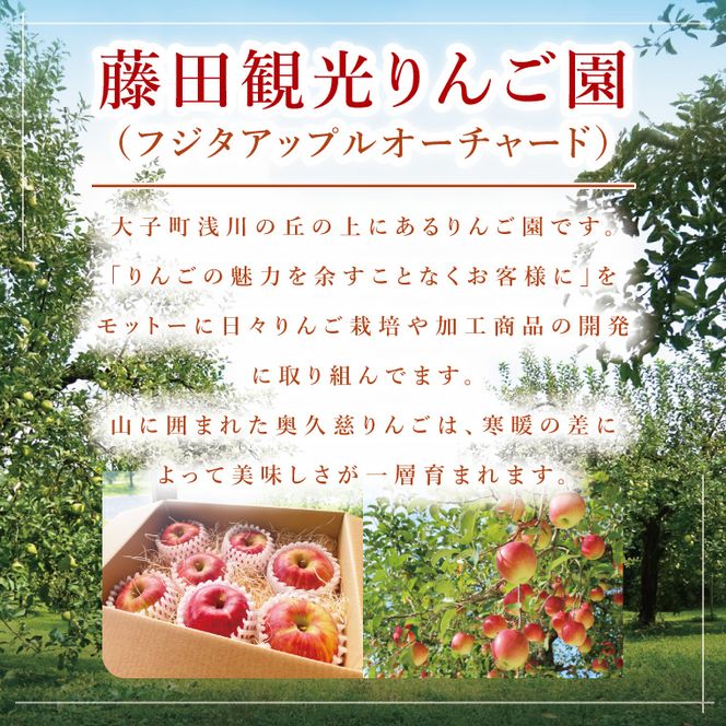 【藤田観光りんご園】りんご園で焼いた贅沢アップルパイ（ホールサイズ）｜茨城県 大子町 お菓子 洋菓子 焼菓子 スイーツ 林檎 りんごパイ お祝い 贈り物 ギフト プレゼント 贈答(BJ001)