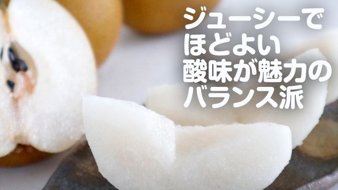 梨 豊水 約 10kg 【2026年9月より発送開始】（茨城県共通返礼品 [梨]：大子町産）田舎の頑固おやじが厳選！ 梨 豊水 高糖度 ギフト 甘い 美味しい フルーツ デザート [BI305-NT]