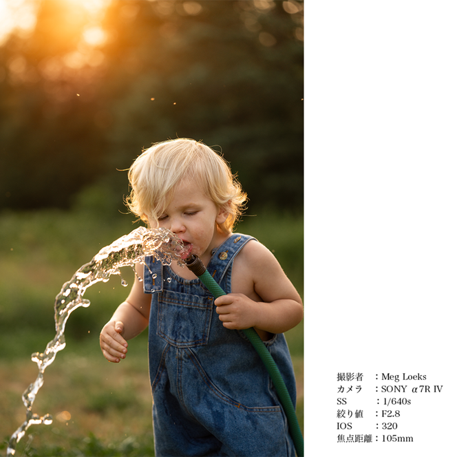 SIGMA 28-105mm F2.8 DG DN | Art【Lマウント】（数量限定）